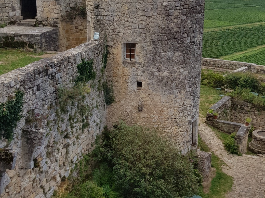 Château de Langoiran-Langoiran必去景点