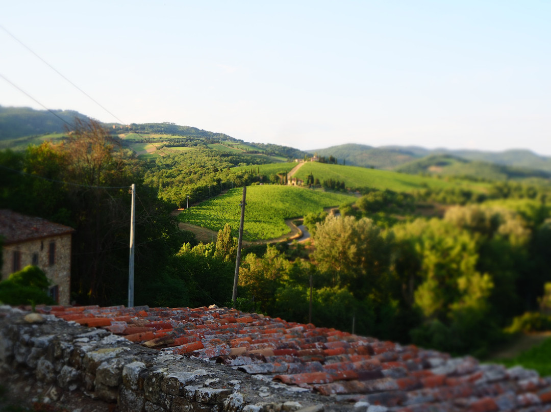 Tenuta Cortedomina主图