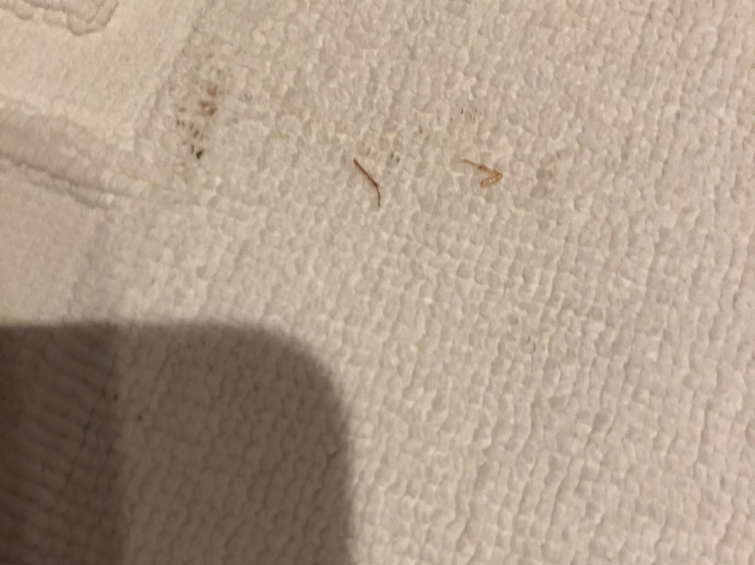 Hotel Wuermtaler Gaestehaus主图