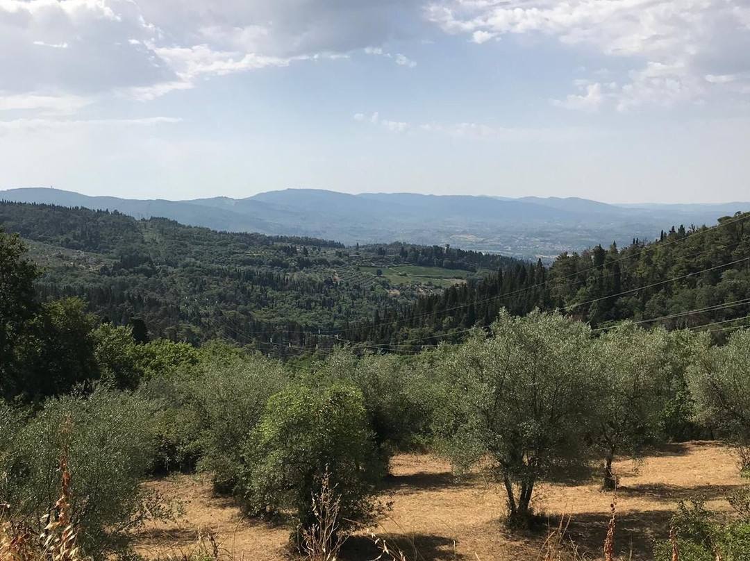 狄波士科尼别墅酒店主图