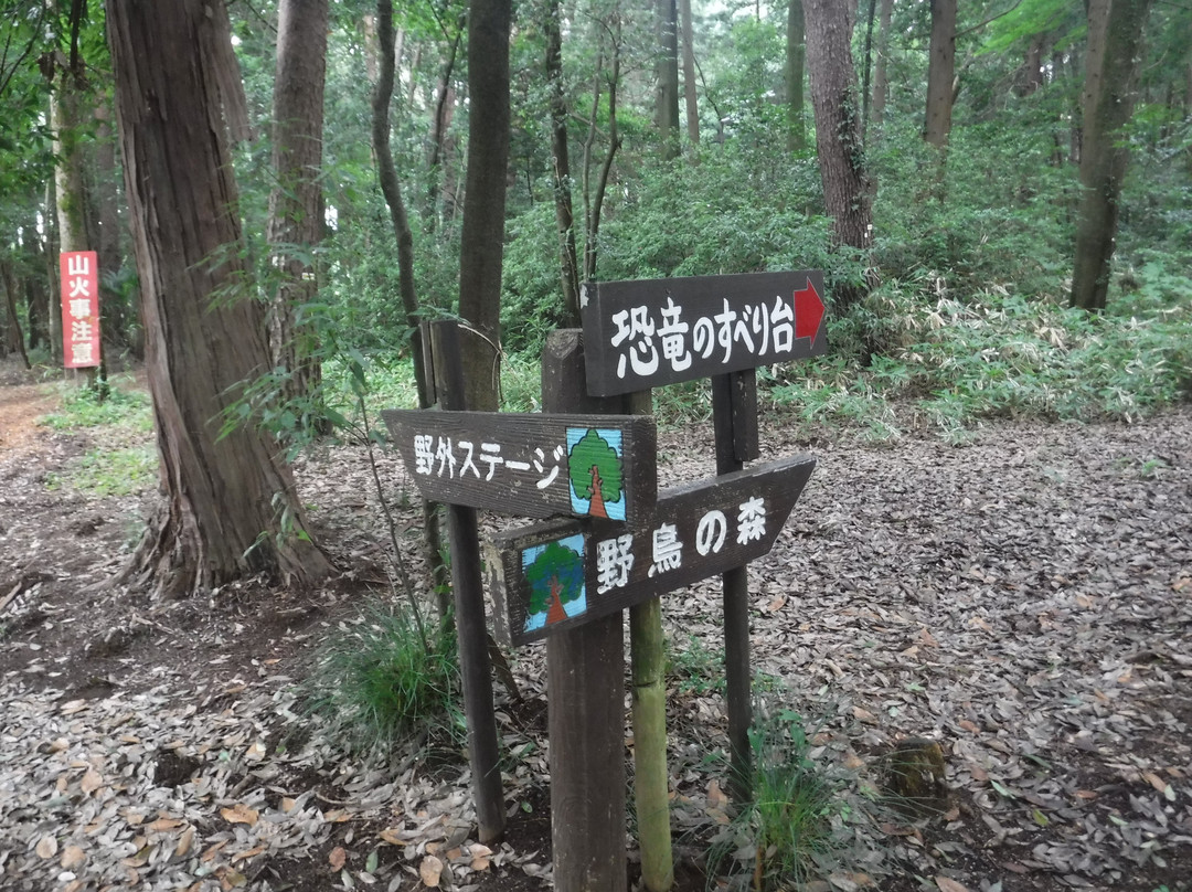 Teganooka Park-柏市必去景点