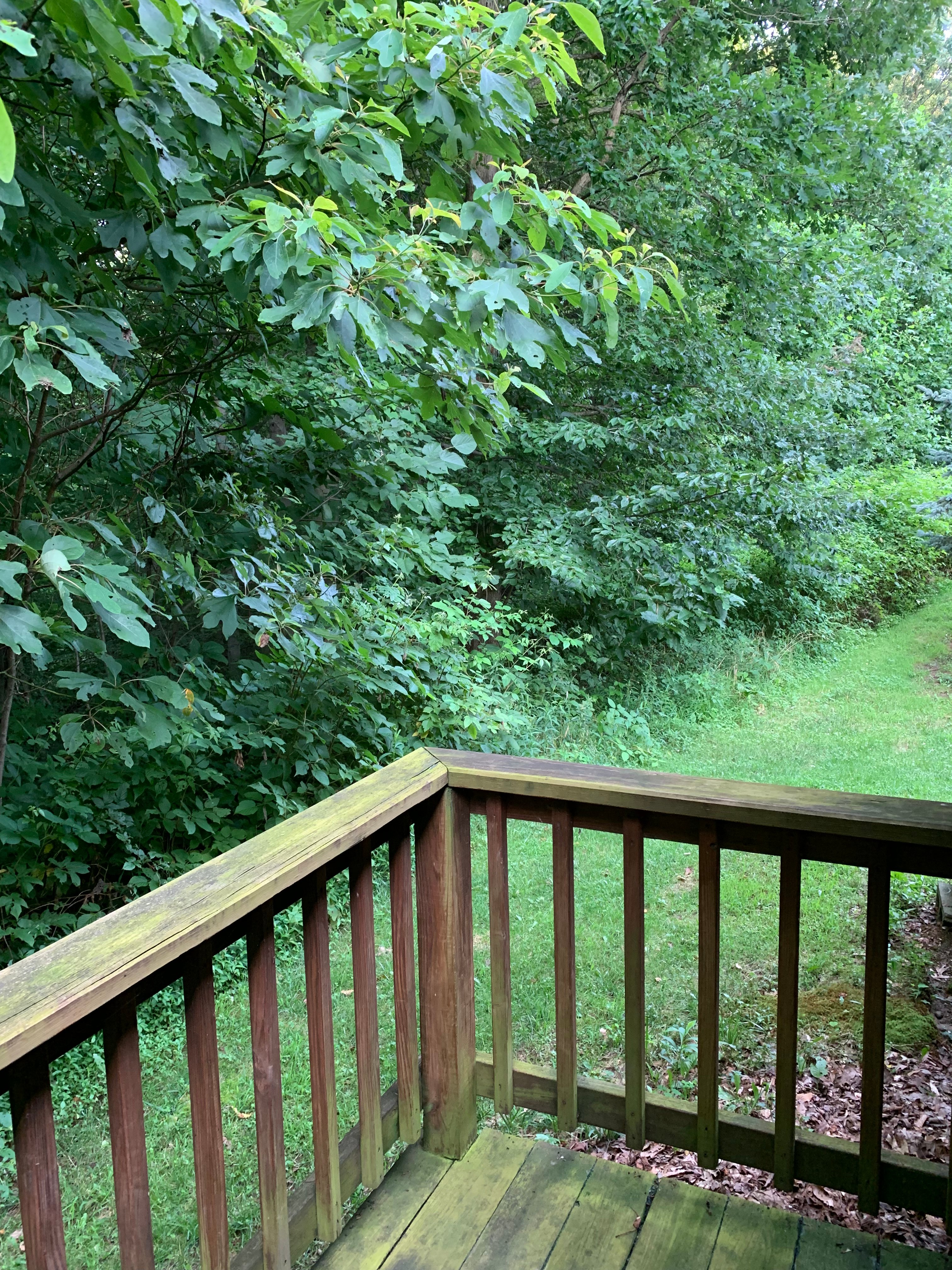 Wester Farm Bed and Breakfast-官方