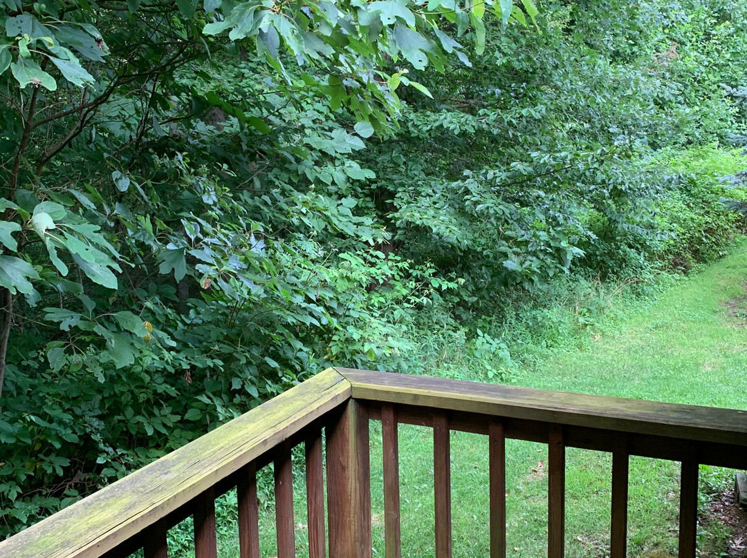 Wester Farm Bed and Breakfast主图