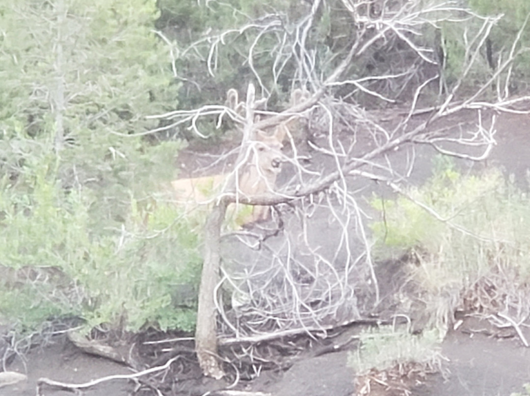 Days Inn & Suites by Wyndham Trinidad主图