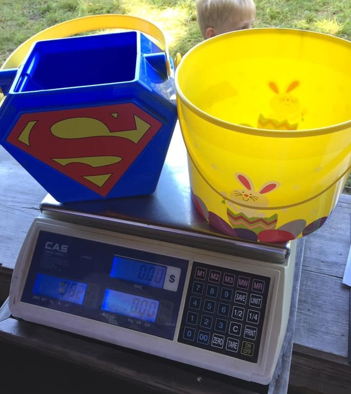 Tikkanen's Berry Farm-Sterling必去景点