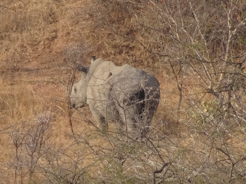 Discover Tours-白河必去景点
