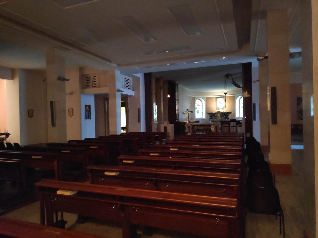 Santuario della Madonna di San Marco景点图片