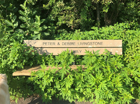 Griffin Park-Windham必去景点