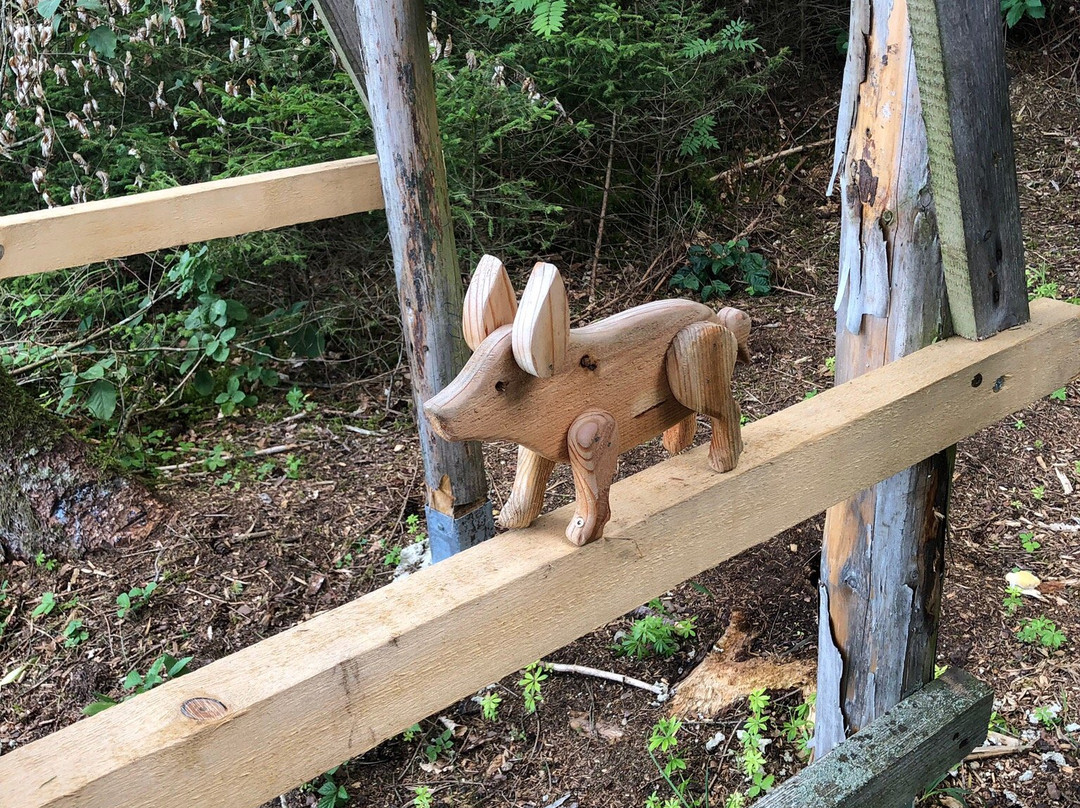 Donauversickerung-Immendingen必去景点