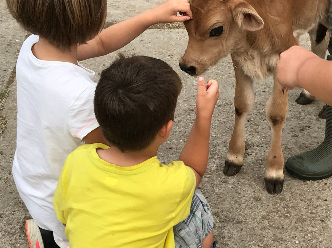 Dartington Dairy @ Old Parsonage Farm-Dartington必去景点
