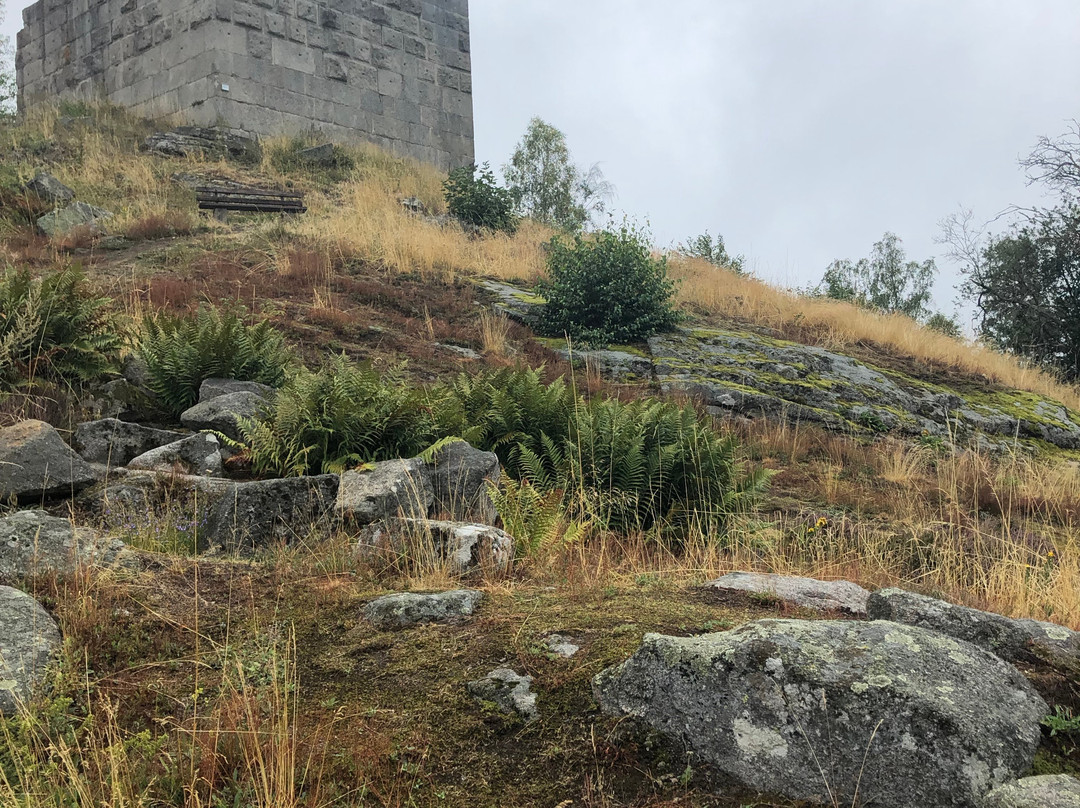 Burg Flossenburg景点图片