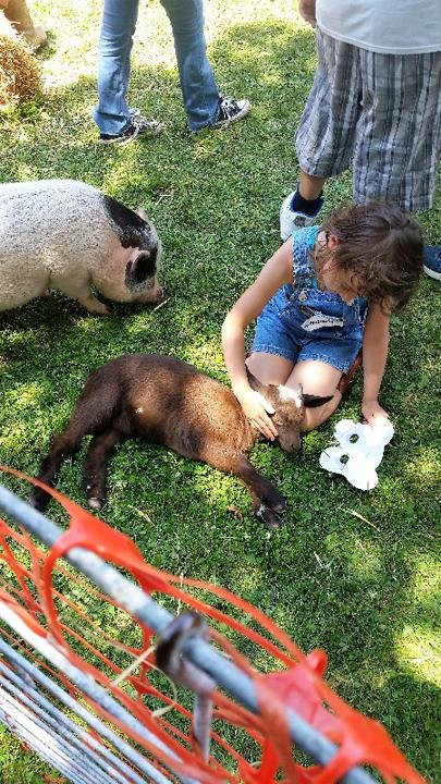 Patch 22-Wadsworth必去景点