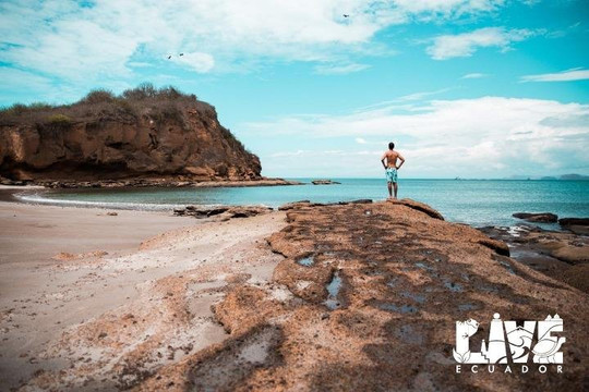 Live Ecuador Tours-基多必去景点