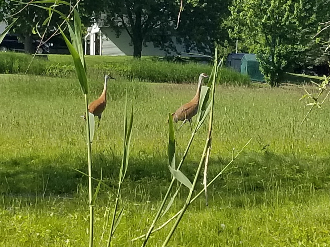 Explore Algoma LLC-Algoma必去景点