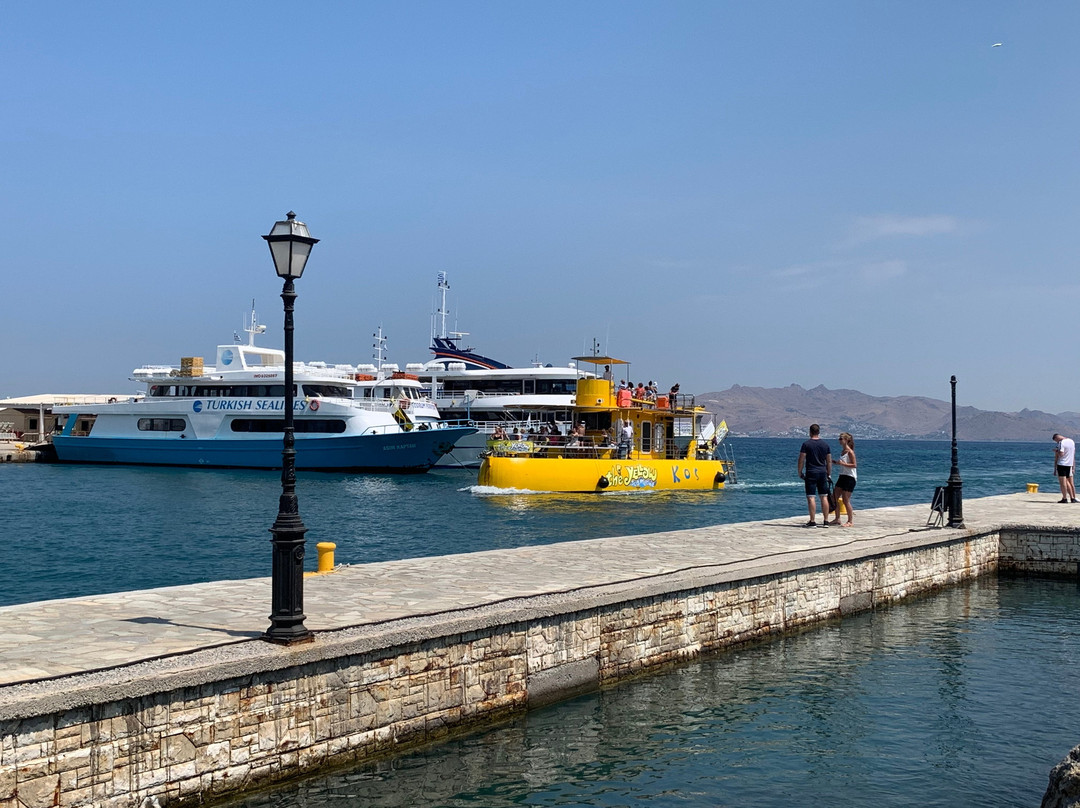 Yellow Submarine Tours-居斯塔维亚必去景点