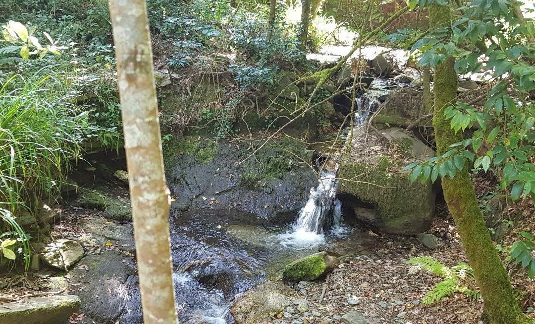 Mata da Margaraça-Arganil必去景点