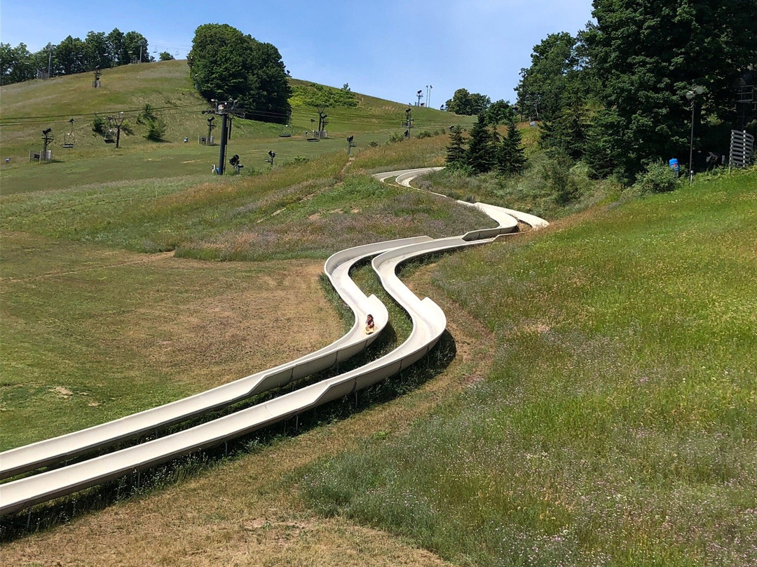 The Crystal Coaster Alpine Slide景点图片
