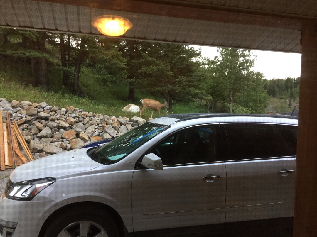 York Creek Bed & Breakfast主图