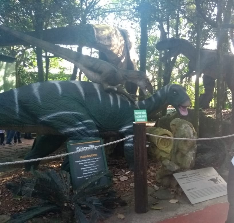 Zoologico de Sao Paulo景点图片
