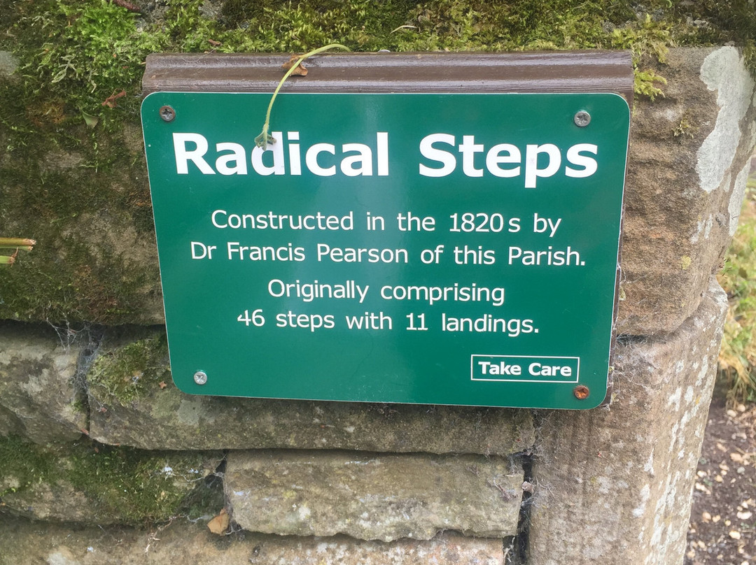 Radical Steps景点图片