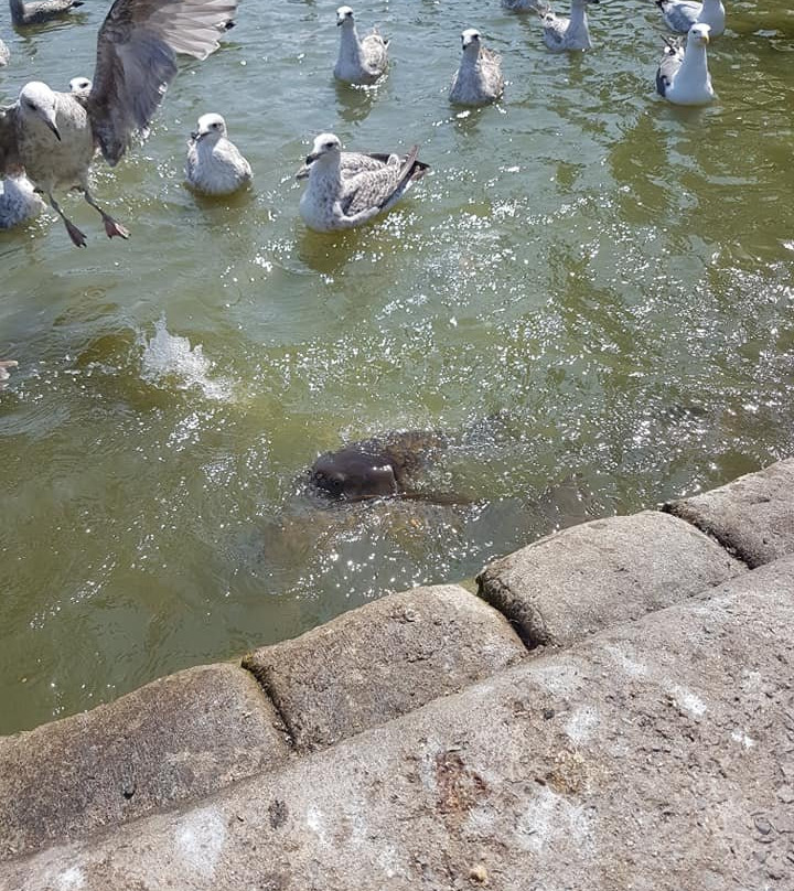 Apex Leisure & Wildlife Park景点图片