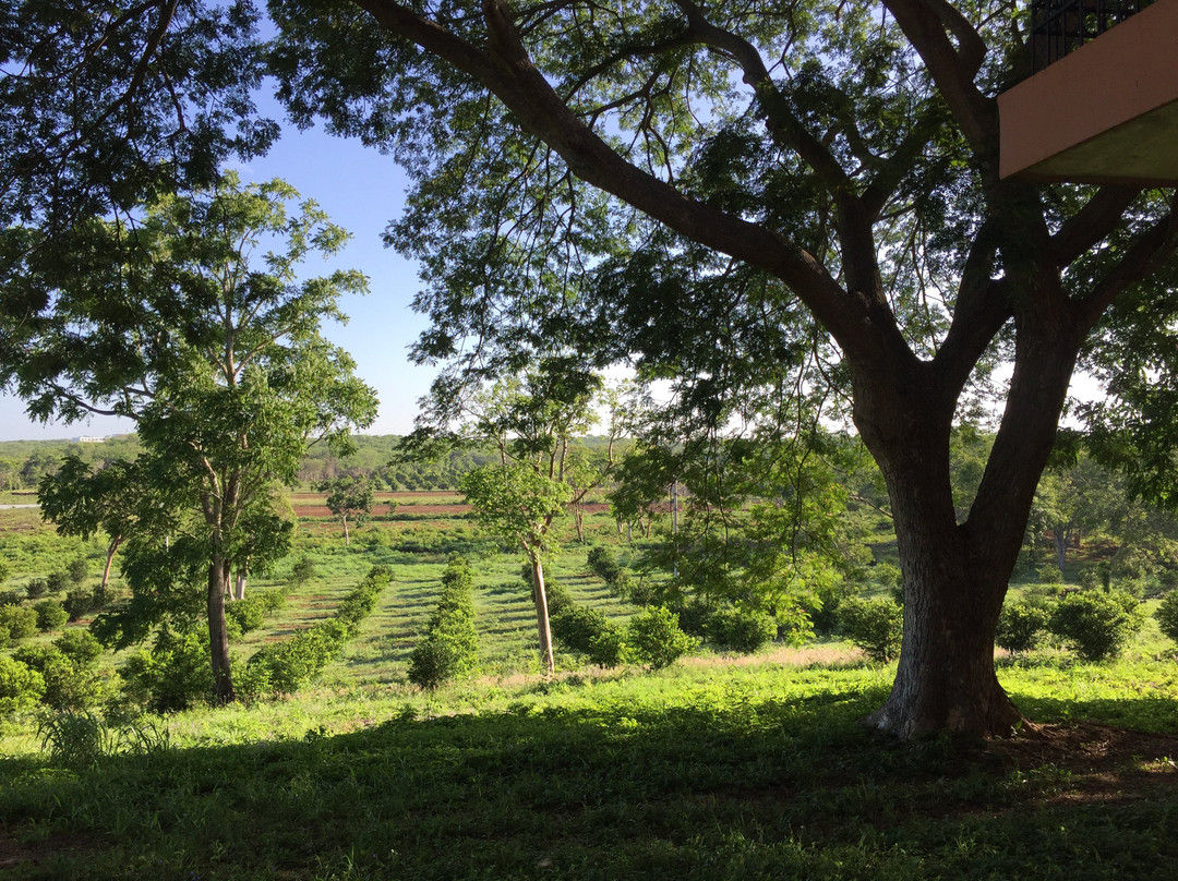 Hacienda Uxmal Plantation & Museum主图
