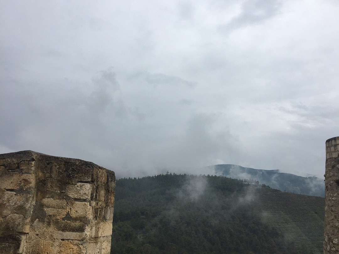 Boyabat Kalesi景点图片