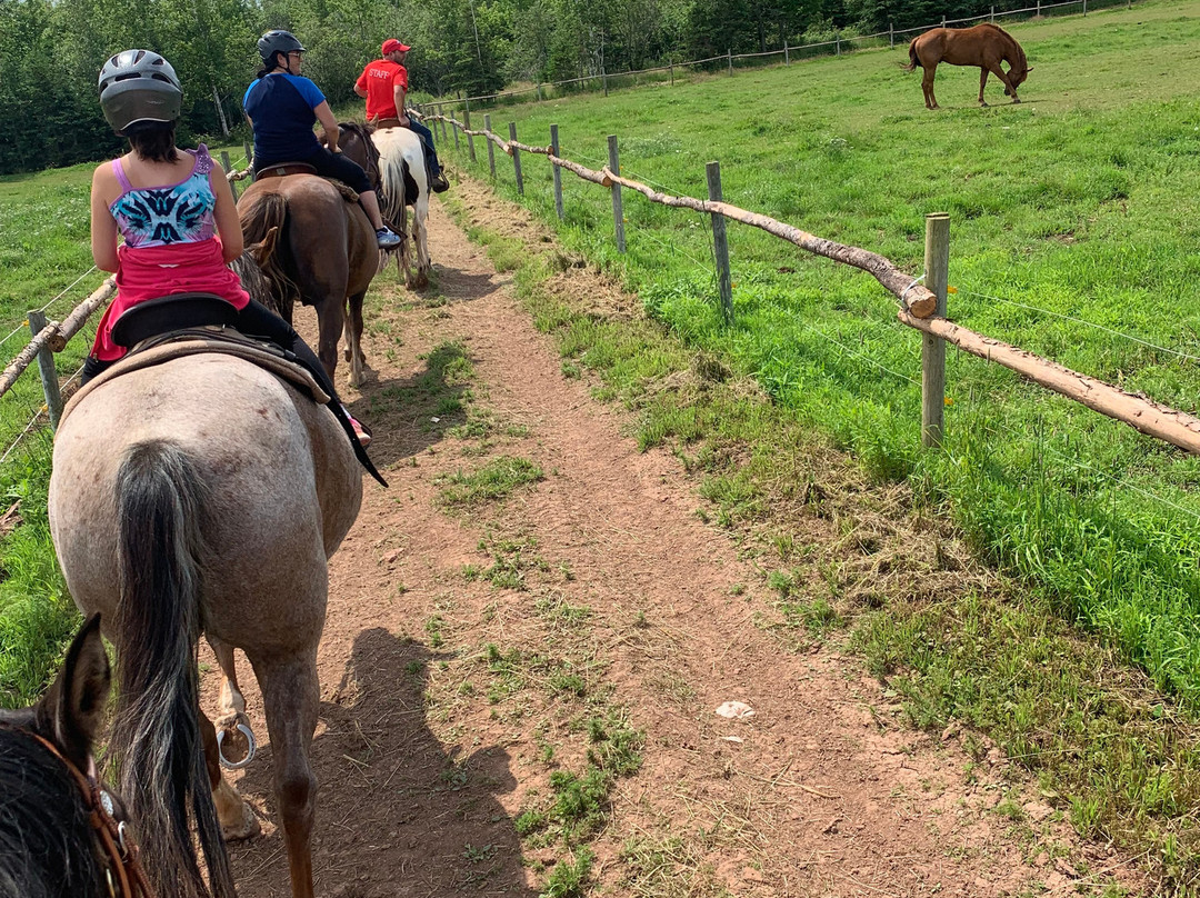 PPH Farms-夏洛特镇必去景点