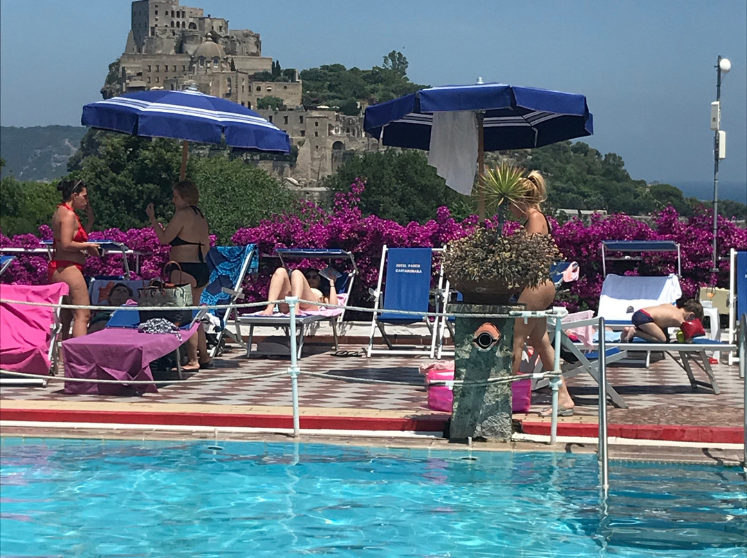 Hotel Parco Cartaromana主图