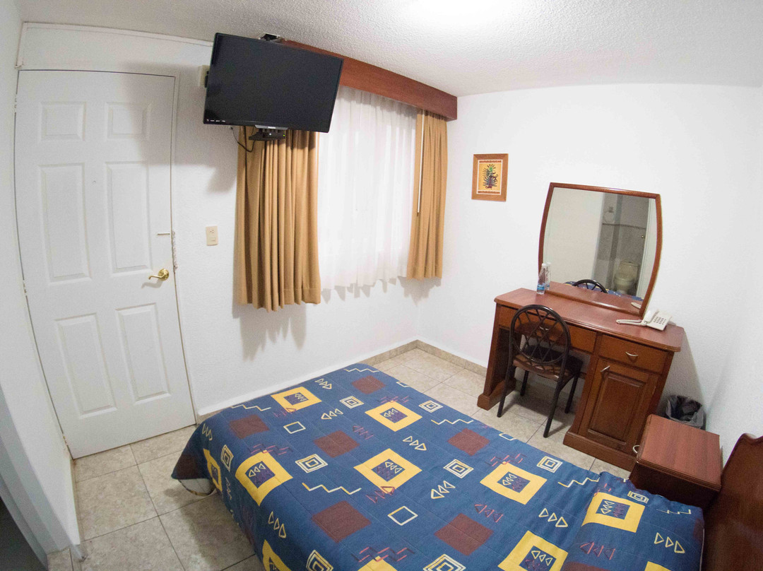 Hotel Qualitel Plus主图