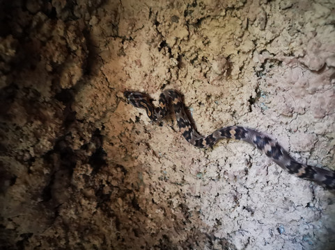 Rigo Suave CR Tours-Playa Flamingo必去景点