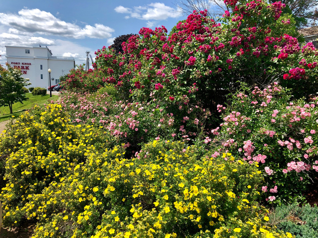 Bucksport Waterfront Walkway景点图片
