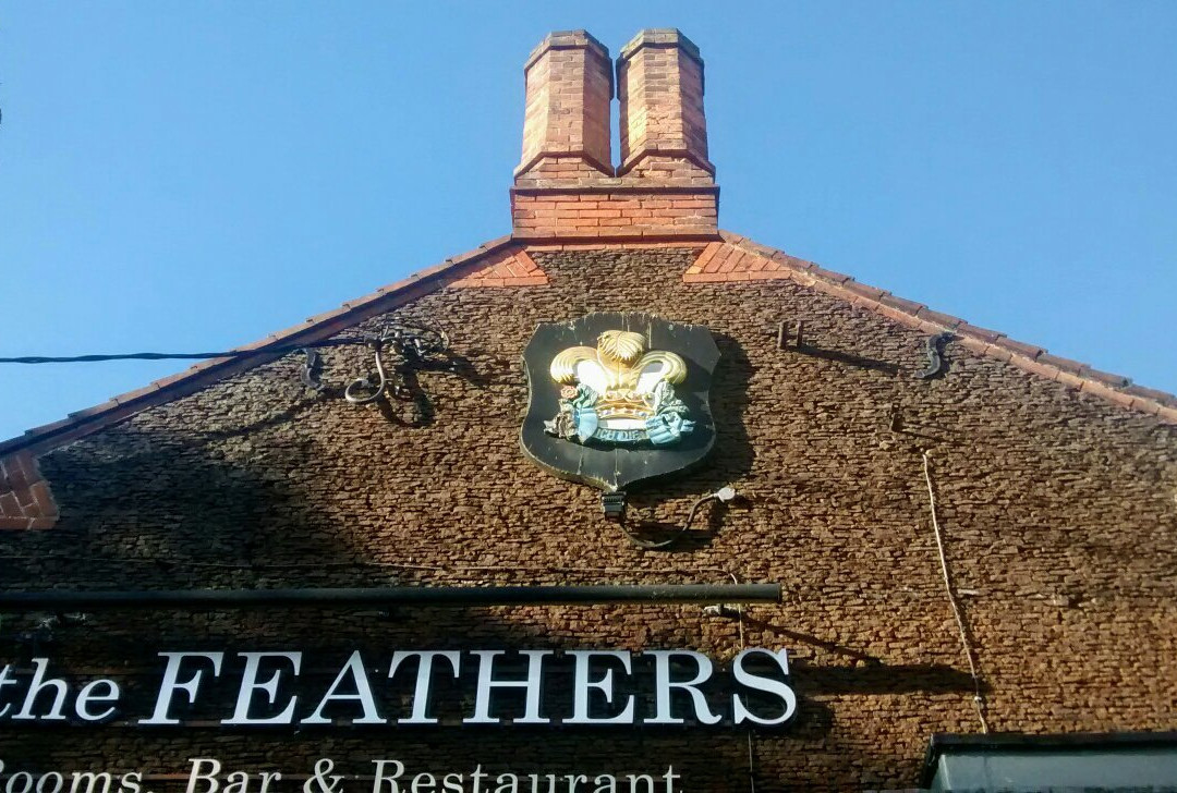 The Feathers主图