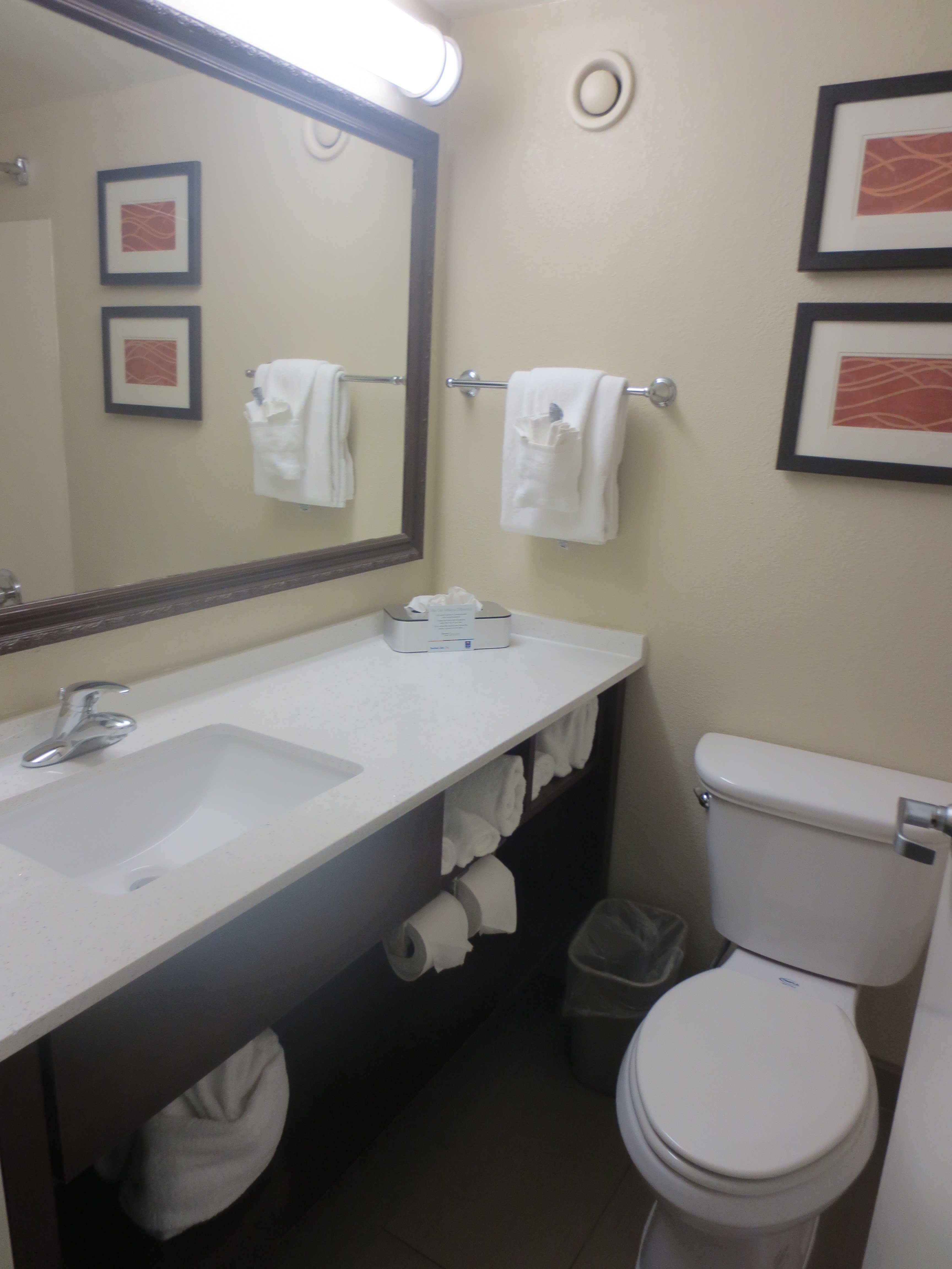 Comfort Inn & Suites Staunton-浴室