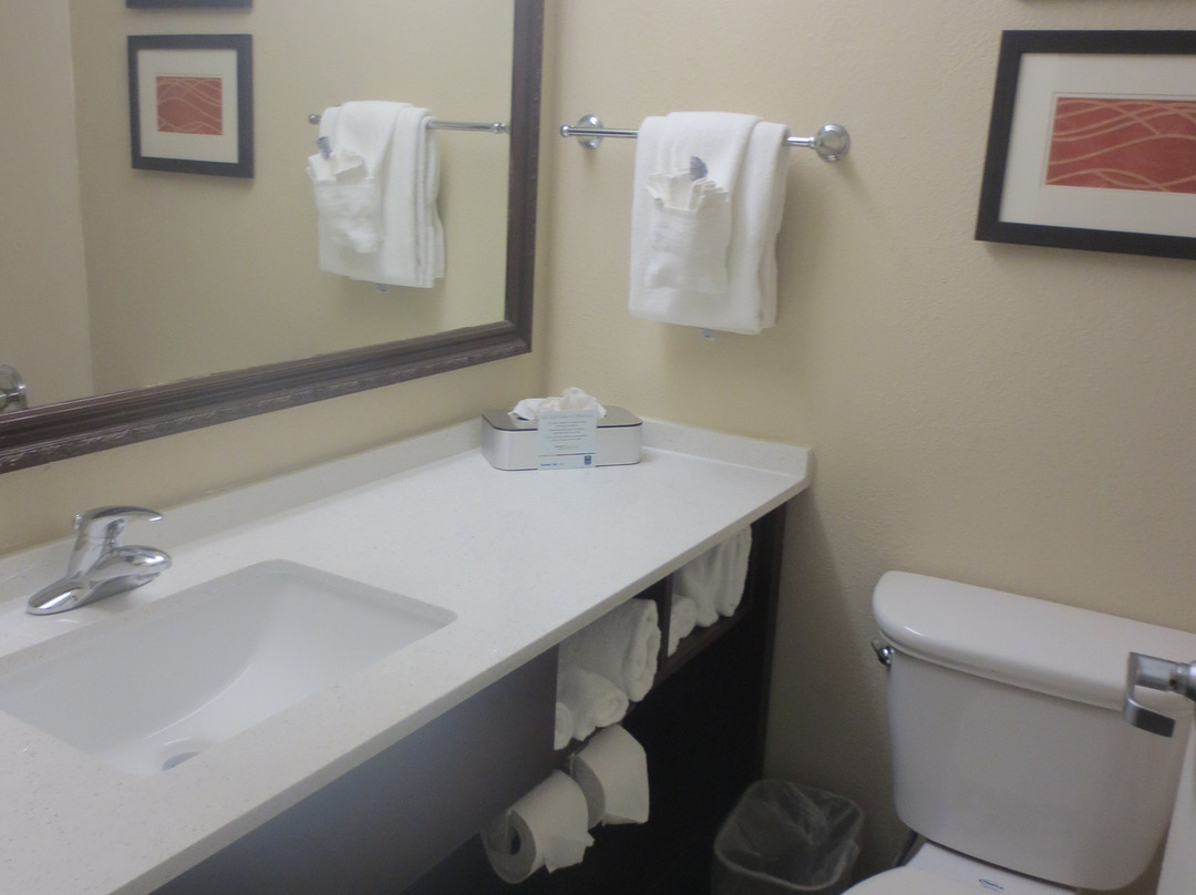 Comfort Inn & Suites Staunton主图