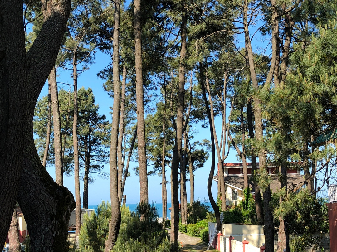 Villa ReTa Hotel & SPA主图