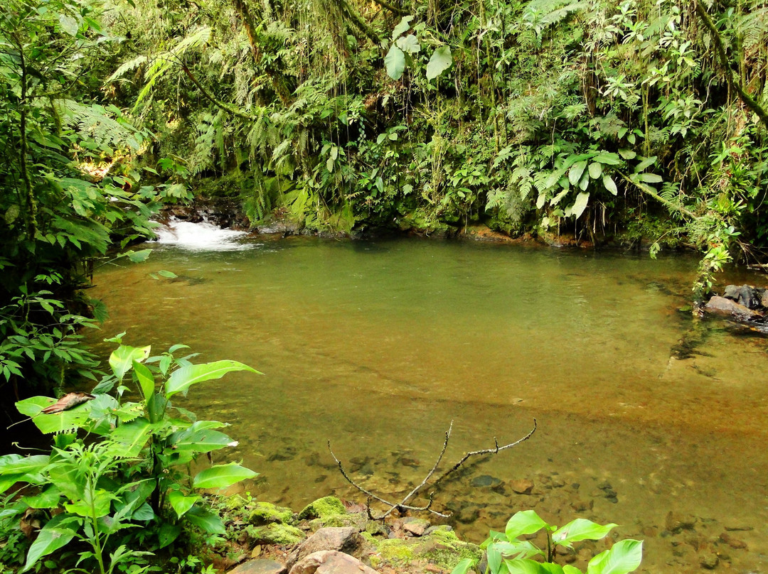 Serra Rio do Julio景点图片