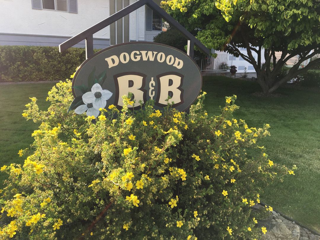 Dogwood Bed and Breakfast主图