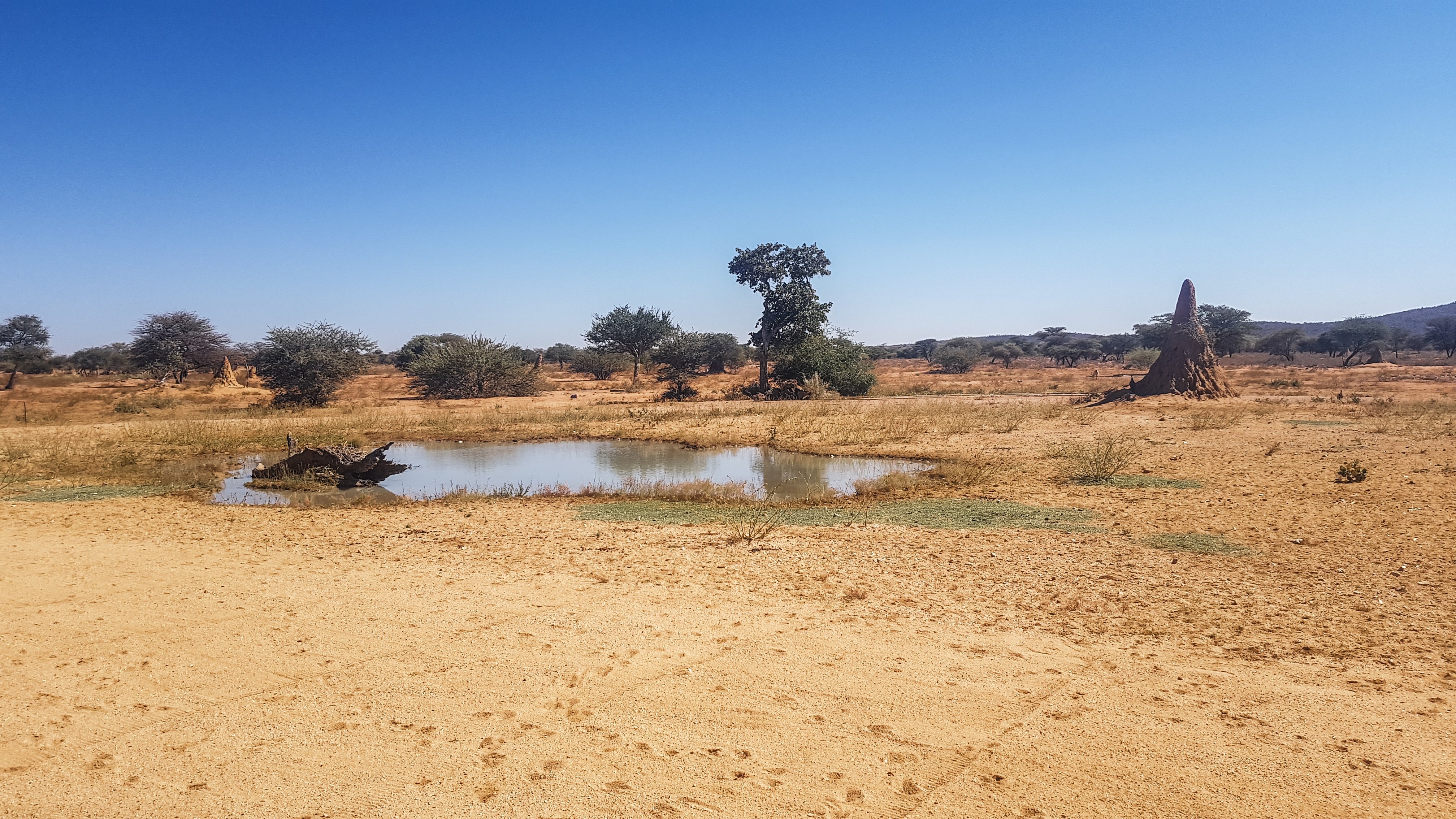 Okonjima Plains Camp-浴室