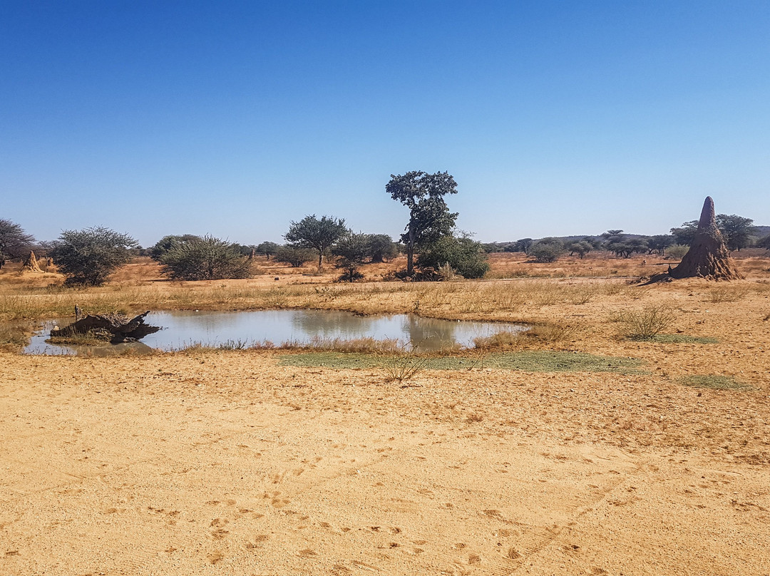 Okonjima Plains Camp主图