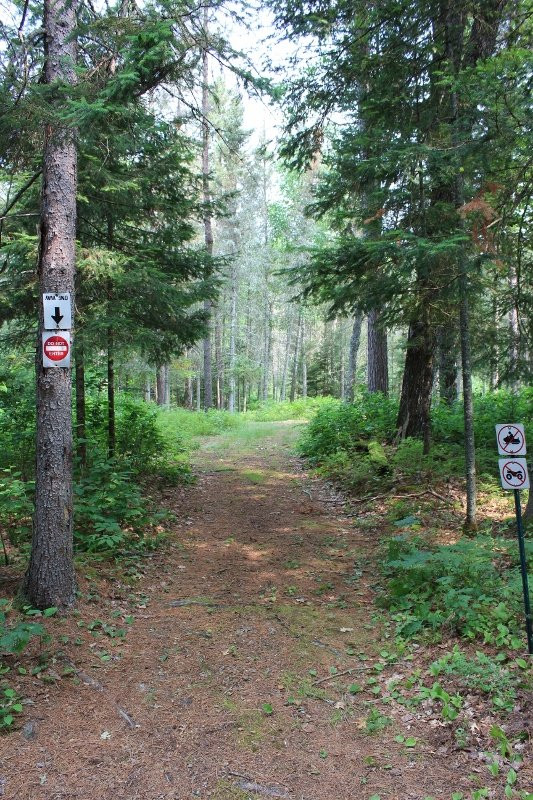 Rohr's Wilderness Tours-Conover必去景点