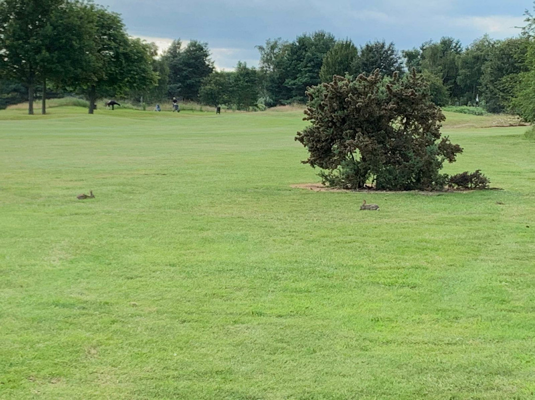 Ramsdale Park Golf Centre景点图片
