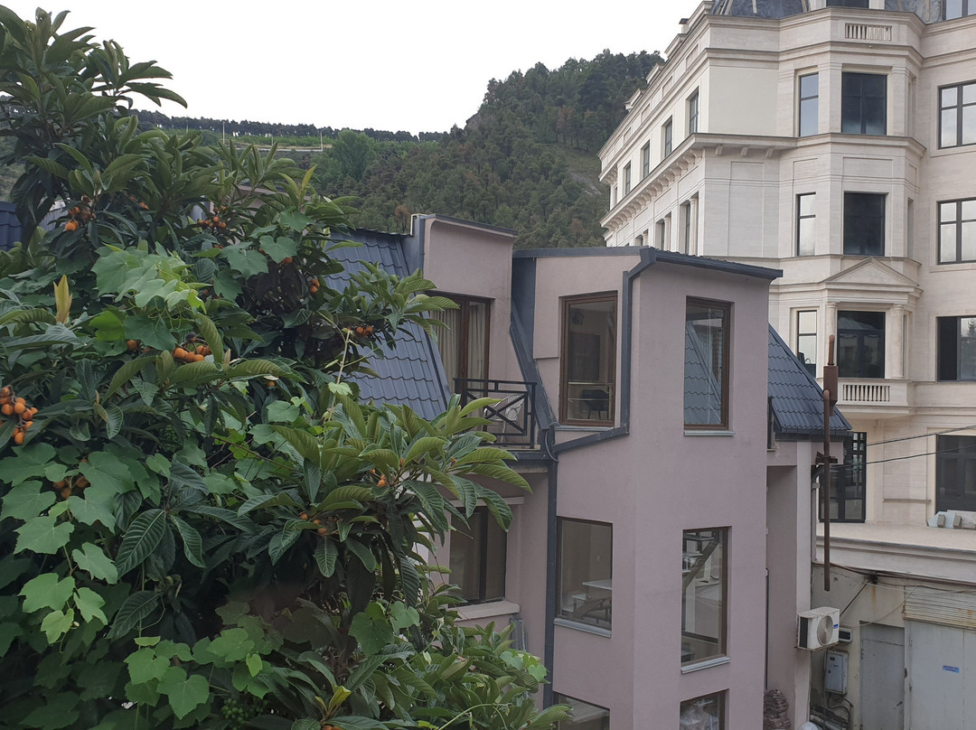 Tiflis House主图