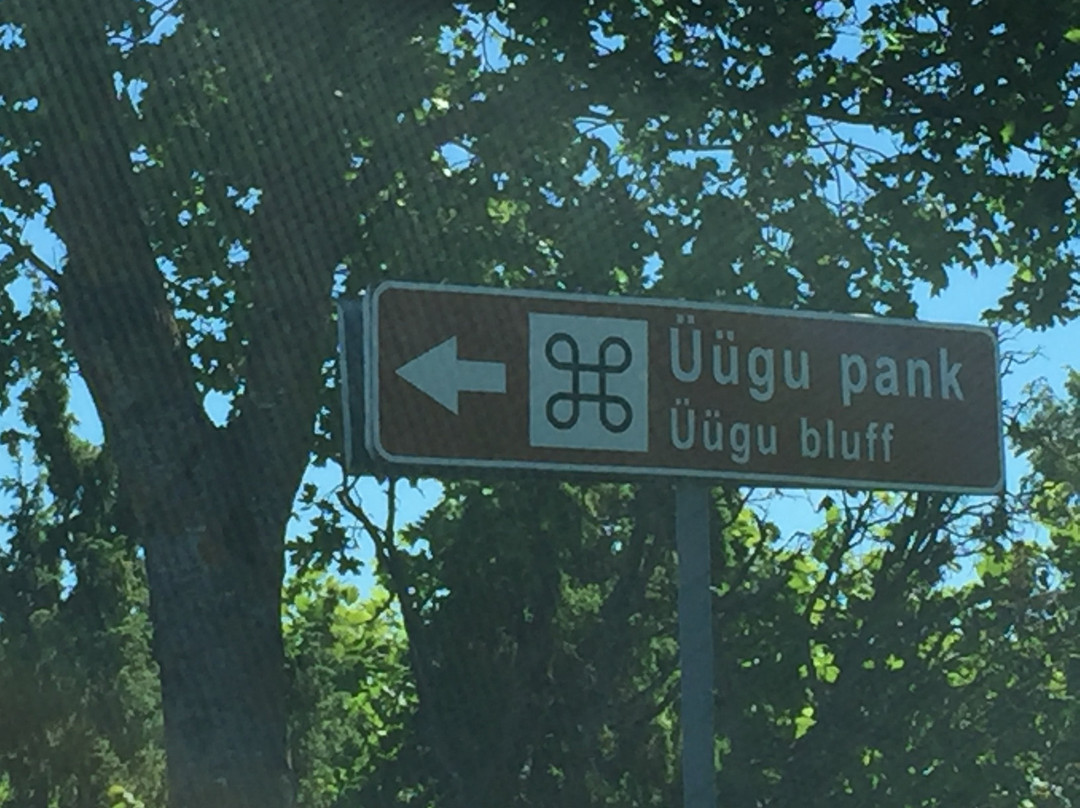 Uugu Bluff-Muhu必去景点