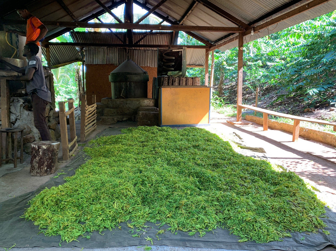 Aromaore-Ouangani必去景点