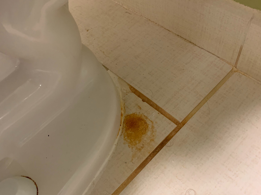 SpringHill Suites by Marriott Charleston Riverview主图