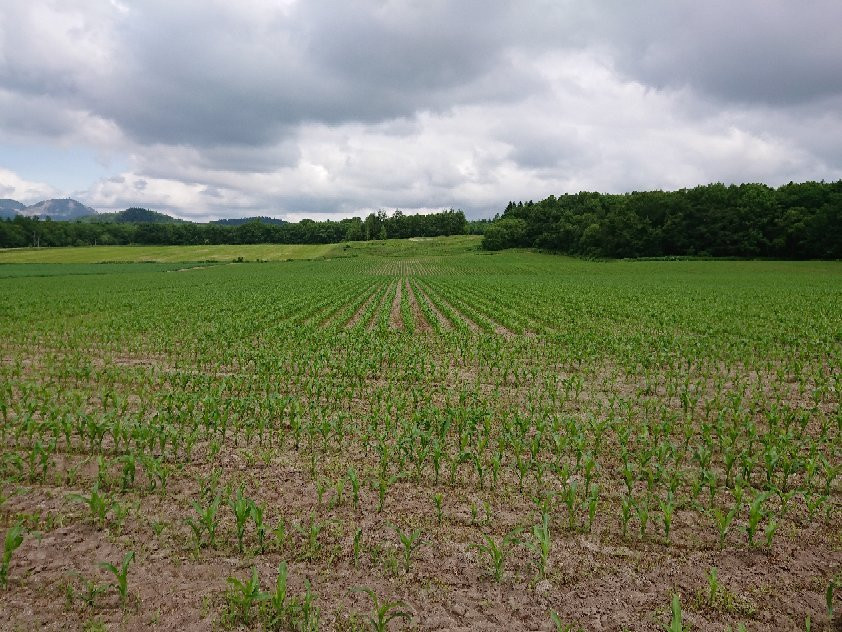 Biruwa Mashu Trail-弟子屈町必去景点