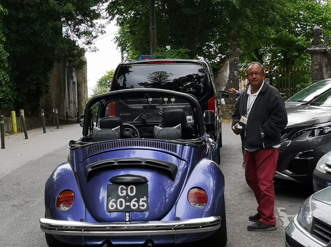 Mr Driver-塞新布拉必去景点