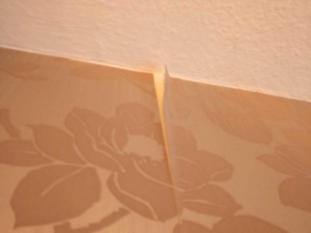 Acacia Villas Guest House主图