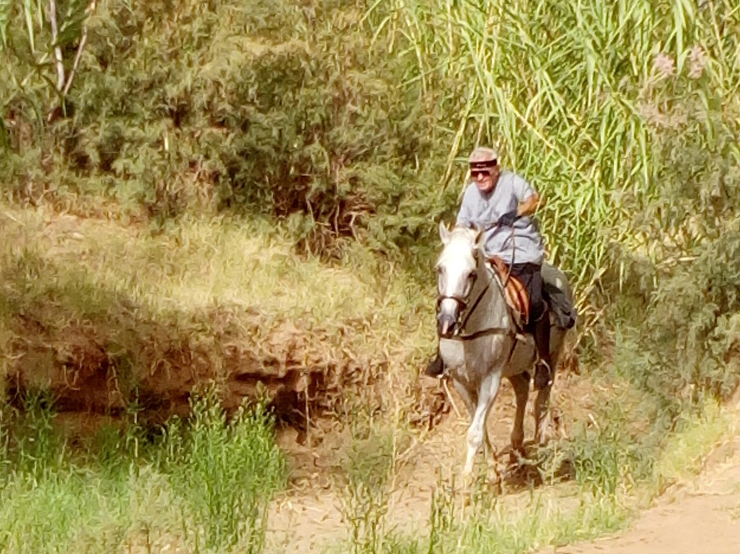 Atlasupcreative-瓦尔扎扎特必去景点